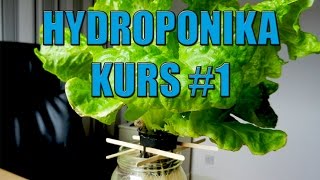 Hydroponika Kurs #1 Dlaczego uprawa w wodzie ?