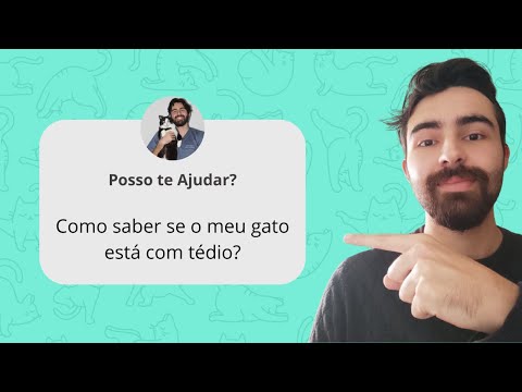 Vídeo: Cães não-caçadores que são bons com crianças