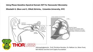 Using Phase-Sensitive Spectral Domain OCT for Nanoscale Vibrometry