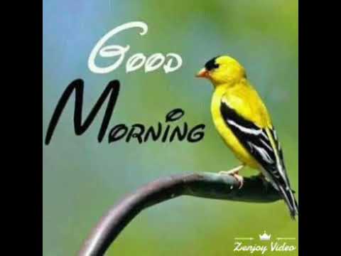 Bristi Veja Suprovat Bondhura 1 Youtube