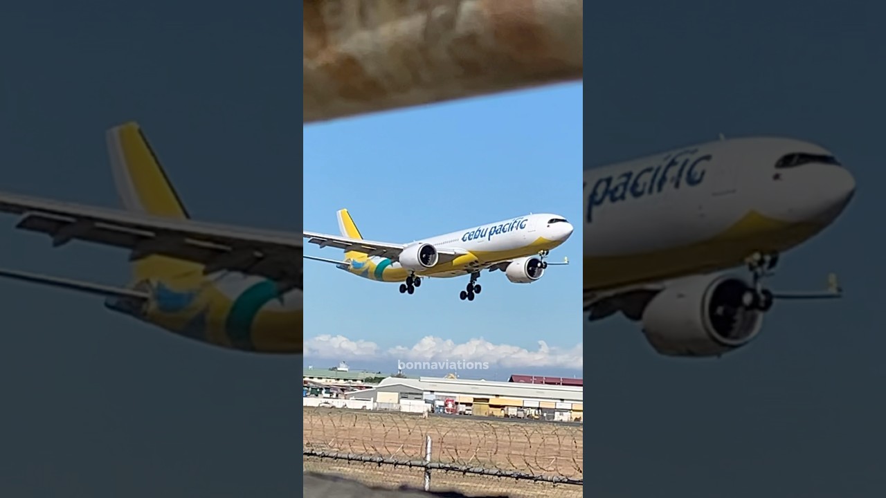 Cebu Pacific A330-941 🇵🇭✈️ #cebupacific #a330neo #a330 #planespotting #aviation #buttermachine