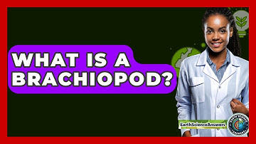 What Is A Brachiopod? - Earth Science Answers