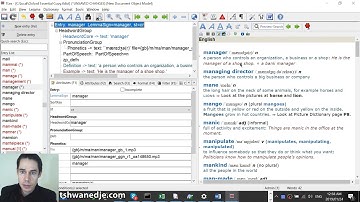 How To Set Up MASKS in TLex Lexicography Software or tlTerm