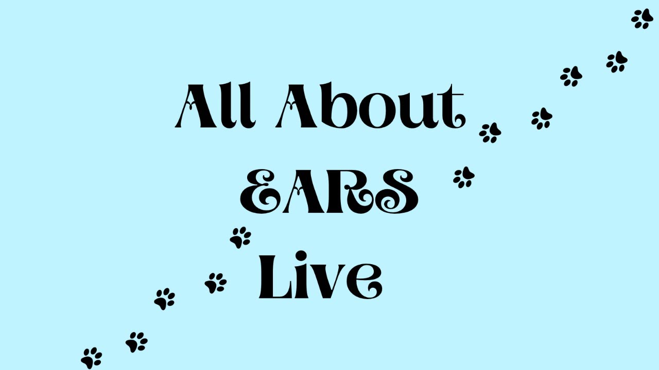 All About Ears - YouTube