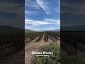Stunning View From Bottaia Winery in Temecula Wine Country