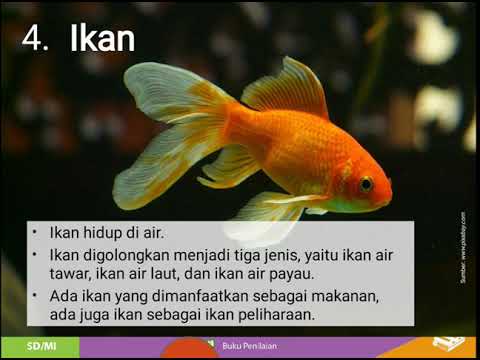 Tema 3 Subtema 2 Pembelajaran 5