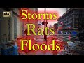 Storms rats floods on skid row homeless encampments los angeles