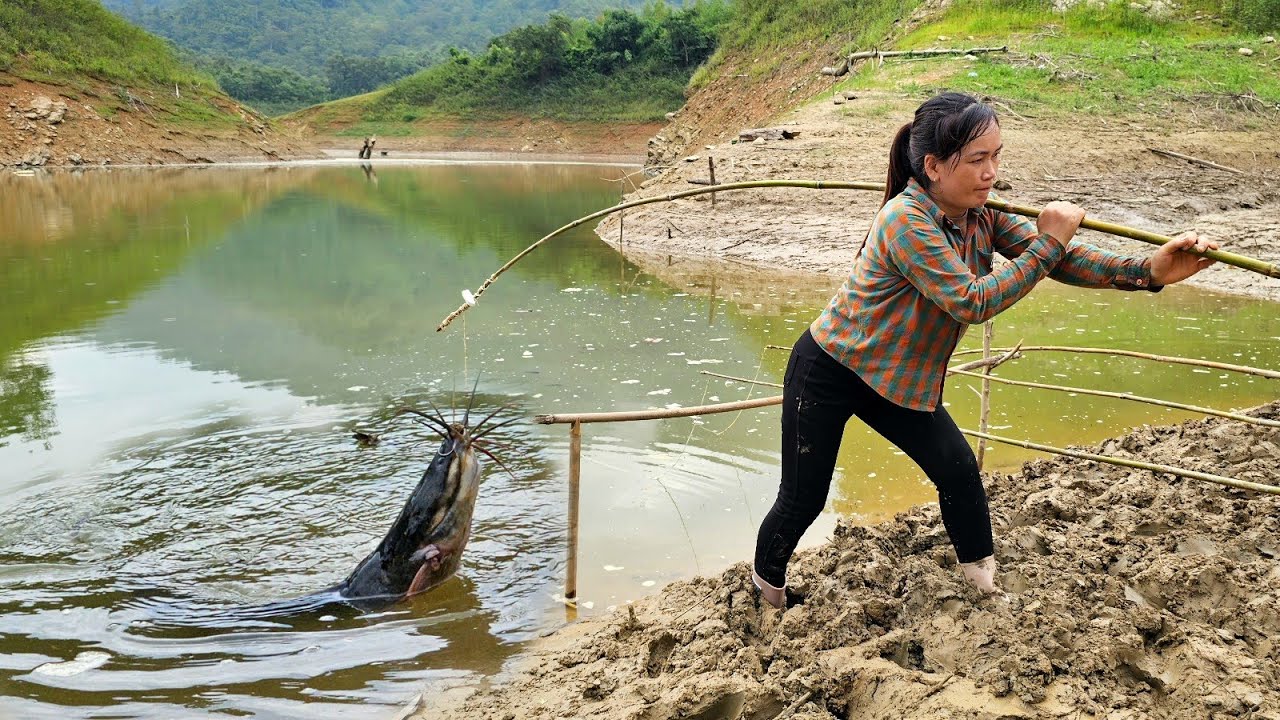 FULL VIDEO: Single mother's fishing skills - Fishing with bamboo rod catches giant catfish for sale