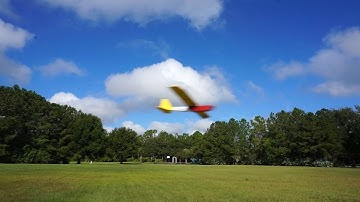 FliteTest Tiny Trainer