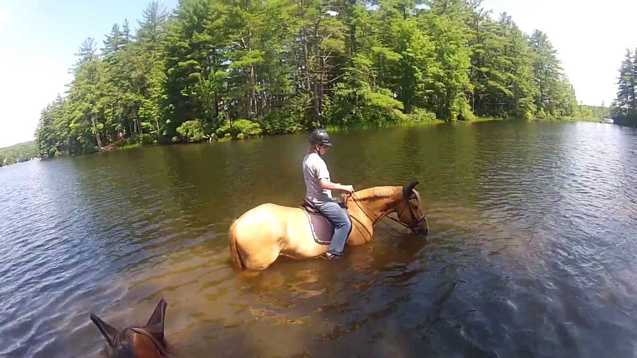 Fun At Baxter Lake Youtube