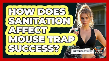 How Does Sanitation Affect Mouse Trap Success? - Insects and Invaders
