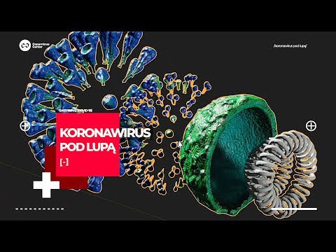 Wideo: Skuteczne sposoby na przetestowanie pod kątem koronawirusa w USA