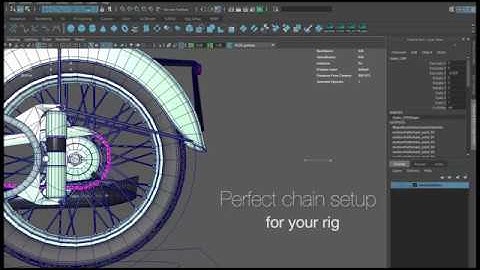 Script Dynamic Chain AutoSetup
