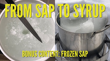 Making Maple Syrup Part 5: What to Do with Frozen Maple Sap