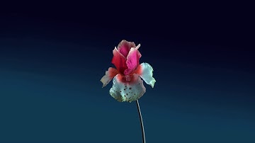 RL Grime - Core (Flume x What So Not Remix)