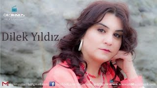 Dilek Yıldız - Bazı Ateş Oldum Resimi