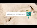 Growing Smarter: Wheat Stem Sawfly