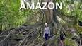 Amazon Ormanları ile ilgili video