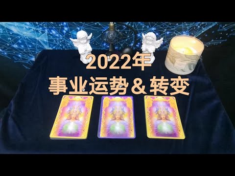 塔罗占卜 22年的事业运势 转变 会有新的工作机会吗 瑪芬與黑貓塔羅 Youtube