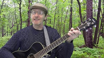 Temperate Forest Trees Song