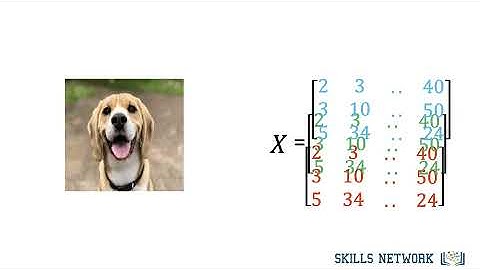 01 introduction to image classification