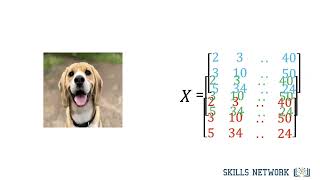 Celebrity 01 introduction to image classification Net Worth