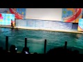 浅虫水族館イルカショー の動画、YouTube動画。