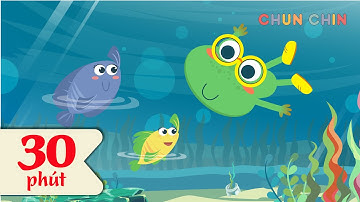 Chú ếch con | Liên khúc nhạc thiếu nhi hay nhất | Chun Chin