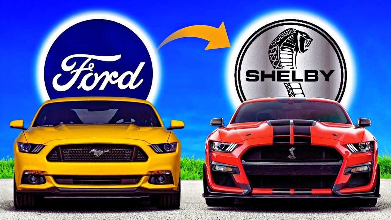 what-is-shelby-difference-between-ford-mustang-shelby-mustang-youtube