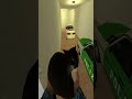 🔥 ISHOW SPEED &amp; LUVA DE PEDREIRO CHASING US 😱🏃‍♂️ (TOTAL CHAOS!) #gmod #garrysmod