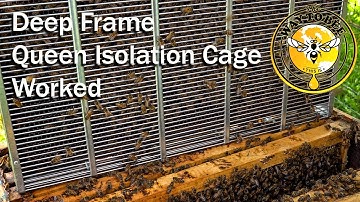 Queen Isolation Cage Follow-Up, did it work to keep a swarm from absconding? Queen Cage that works.