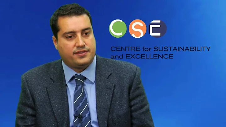 Why is Sustainability Relevant for Organizations?