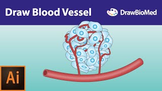 Draw Blood Vessel | Graphical Abstract | Illustrator for Scientists | Scientific Illustration