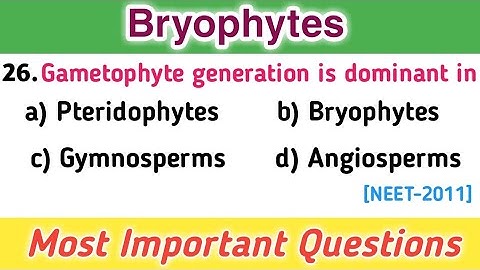 MCQs on Bryophytes - Plant Kingdom mcqs - Botany MCQs