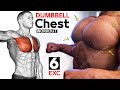 🟠 Exercise Chest Workout (Dumbbells Only)