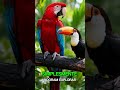 Foz do Iguaçu em Família: Curiosidades Fascinantes e Aventuras! 🌊✨