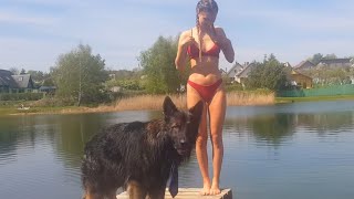Will my Dog Save Me from Drowning?