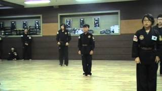 Hapkido Falls
