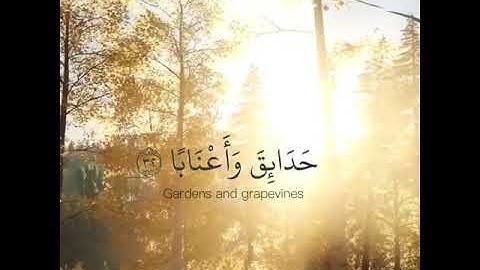 آيات من سورة النبأ. بصوت:بسام الواكد
