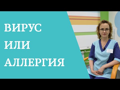 Вирус или аллергия