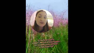 Если благодать и Дух Святой в верующих, то почему они грешат и беснуются?