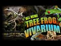 How To Setup A Bioactive Tree Frog Terrarium!! (Exo Terra Tree Frog Terrarium)