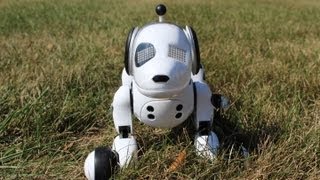 Zoomer The Interactive Robotic Dog Review