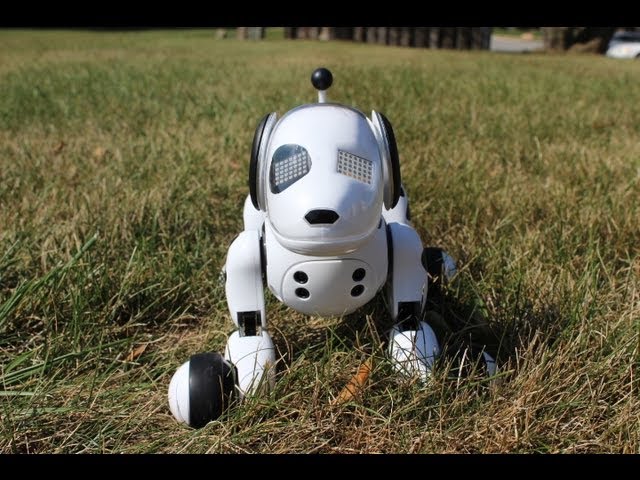 Zoomer The Interactive Robotic Dog Review - YouTube