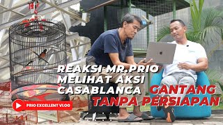 MR.PRIO EVALUASI AKSI MB CASABLANCA || PRIO EXCELLENT VLOG