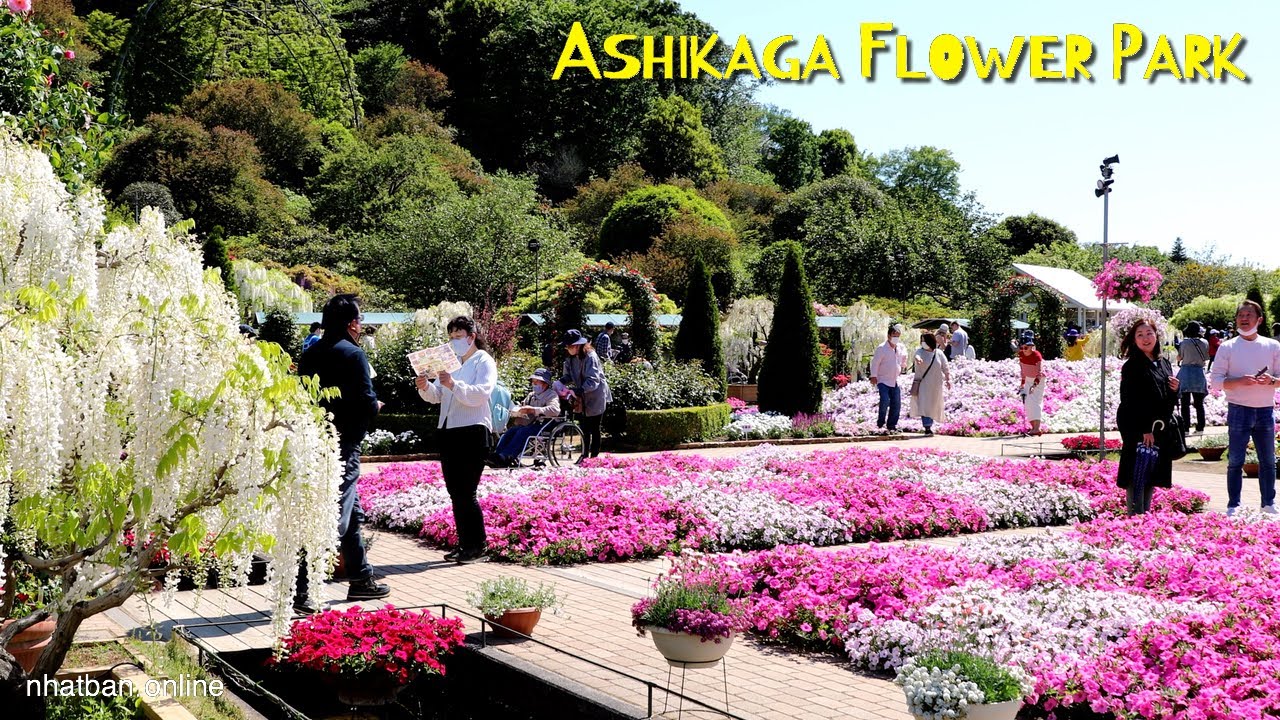 Walking tour around Ashikaga Flower Park in Tochigi Japan | Japan Walk 