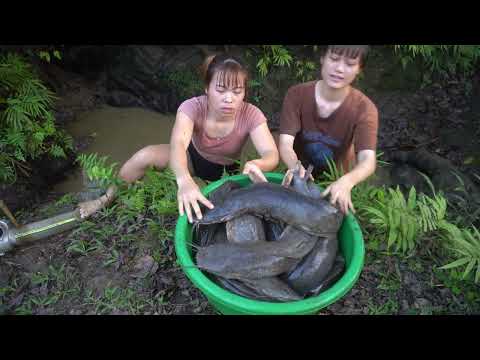 Hunting wild fish | Modern Fishing Technology, Catch many fish in the wild lake by using big pump