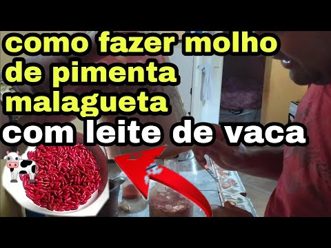 Vídeo: Como Fazer Molho De Leite