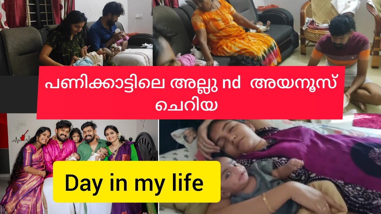 പണിക്കാട്ടിലെ കുട്ടന്മാരുടെ ഒരു ദിവസം _ Pkcouples Day in My Life