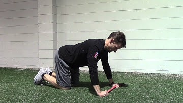 Quadruped Cervical Flexion with Pattern Assist